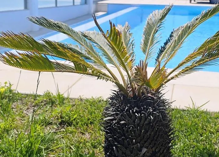 -oceonview With Pool And Whirlpool * Ericeira