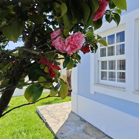 Villa -oceonview With Pool And Whirlpool Ericeira